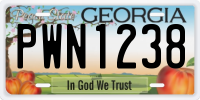 GA license plate PWN1238