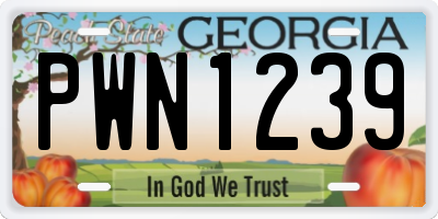 GA license plate PWN1239
