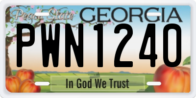 GA license plate PWN1240
