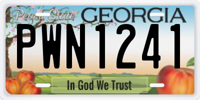 GA license plate PWN1241