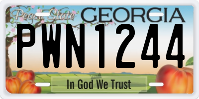 GA license plate PWN1244