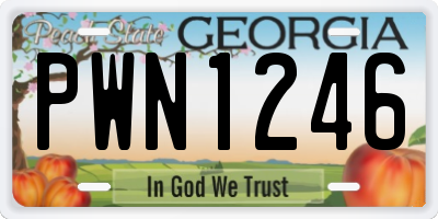 GA license plate PWN1246