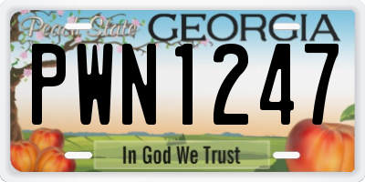 GA license plate PWN1247