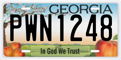 GA license plate PWN1248