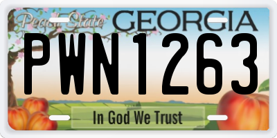GA license plate PWN1263
