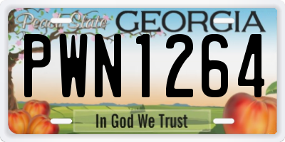 GA license plate PWN1264