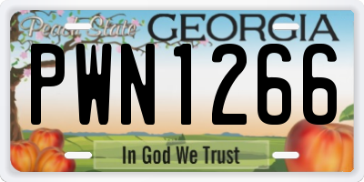 GA license plate PWN1266
