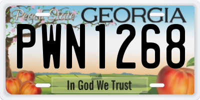 GA license plate PWN1268