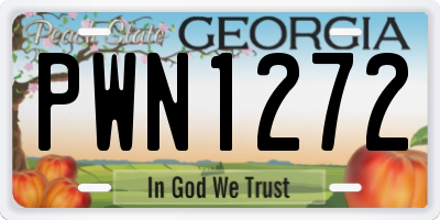 GA license plate PWN1272