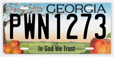 GA license plate PWN1273