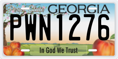 GA license plate PWN1276