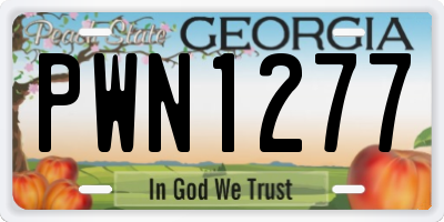 GA license plate PWN1277