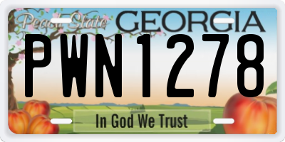 GA license plate PWN1278