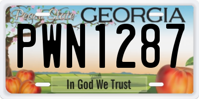 GA license plate PWN1287