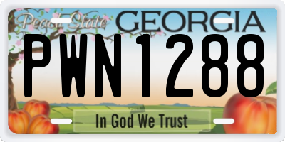 GA license plate PWN1288