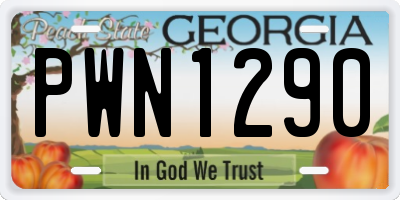 GA license plate PWN1290