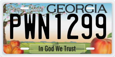 GA license plate PWN1299
