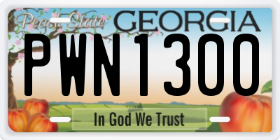 GA license plate PWN1300