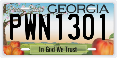 GA license plate PWN1301