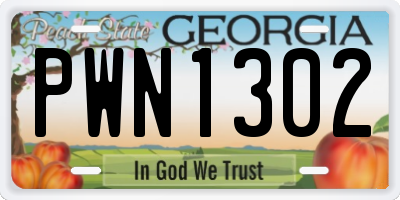 GA license plate PWN1302
