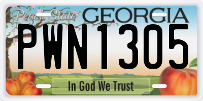 GA license plate PWN1305
