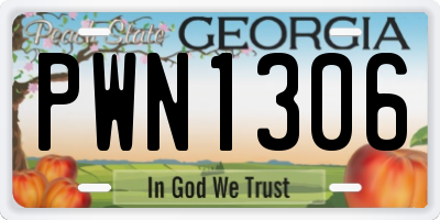 GA license plate PWN1306