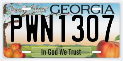 GA license plate PWN1307