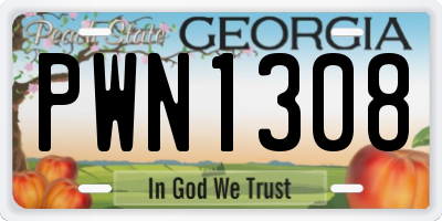 GA license plate PWN1308