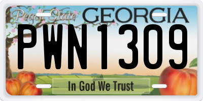 GA license plate PWN1309