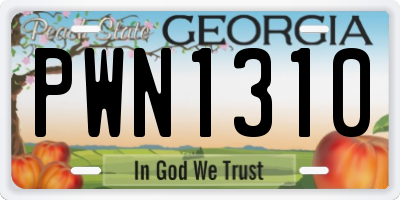 GA license plate PWN1310