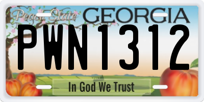 GA license plate PWN1312