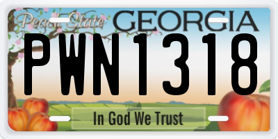 GA license plate PWN1318