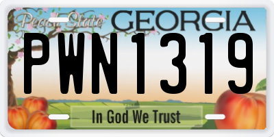 GA license plate PWN1319