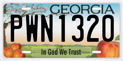 GA license plate PWN1320