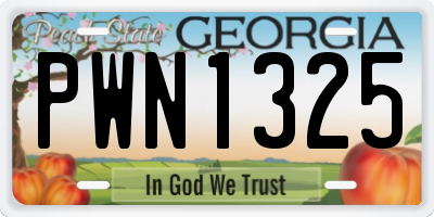 GA license plate PWN1325