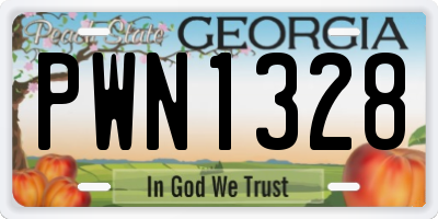 GA license plate PWN1328