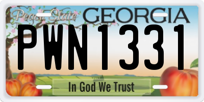 GA license plate PWN1331