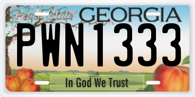 GA license plate PWN1333