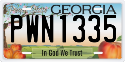 GA license plate PWN1335