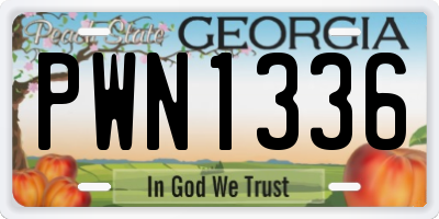GA license plate PWN1336