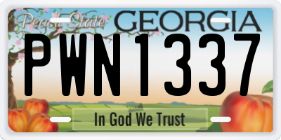 GA license plate PWN1337