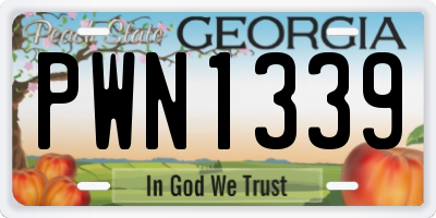 GA license plate PWN1339