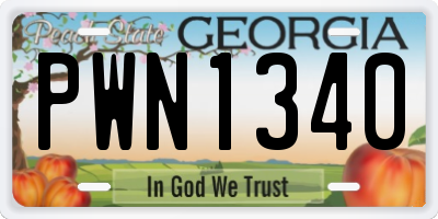 GA license plate PWN1340