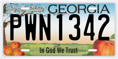 GA license plate PWN1342