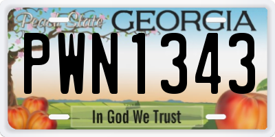 GA license plate PWN1343