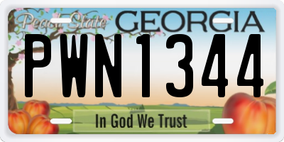 GA license plate PWN1344