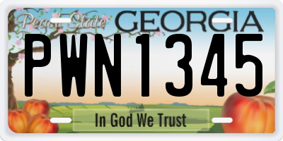GA license plate PWN1345