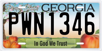 GA license plate PWN1346