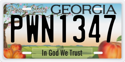 GA license plate PWN1347