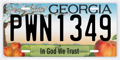 GA license plate PWN1349